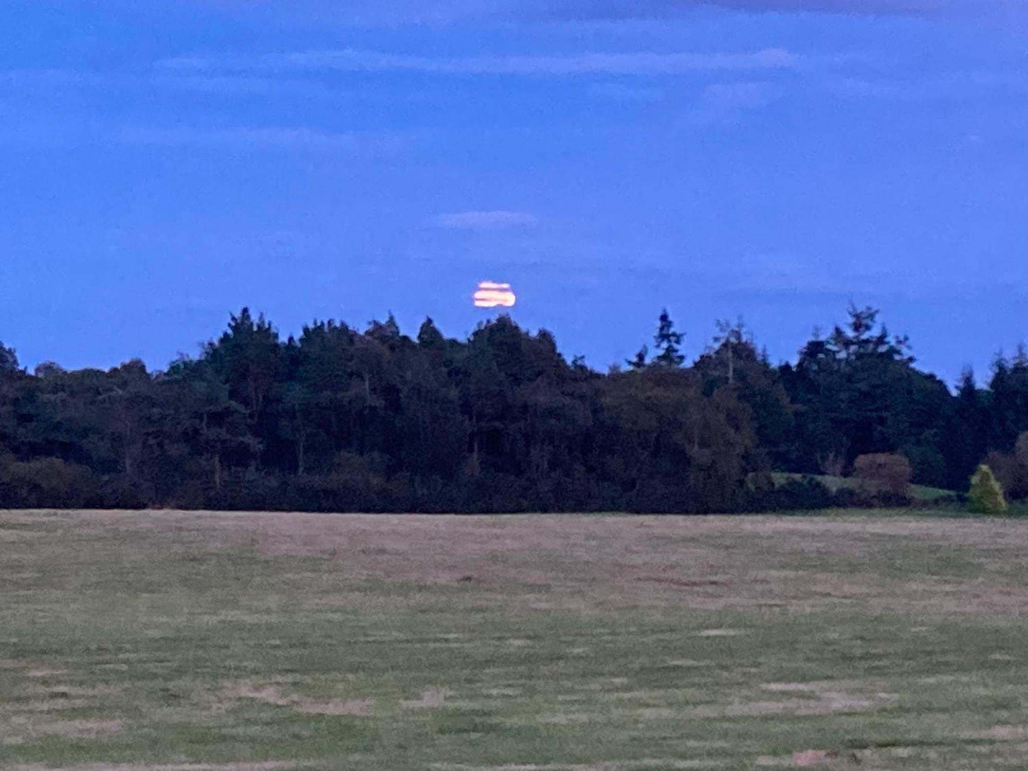 Clashmore Wood Dornoch Luaran gambar