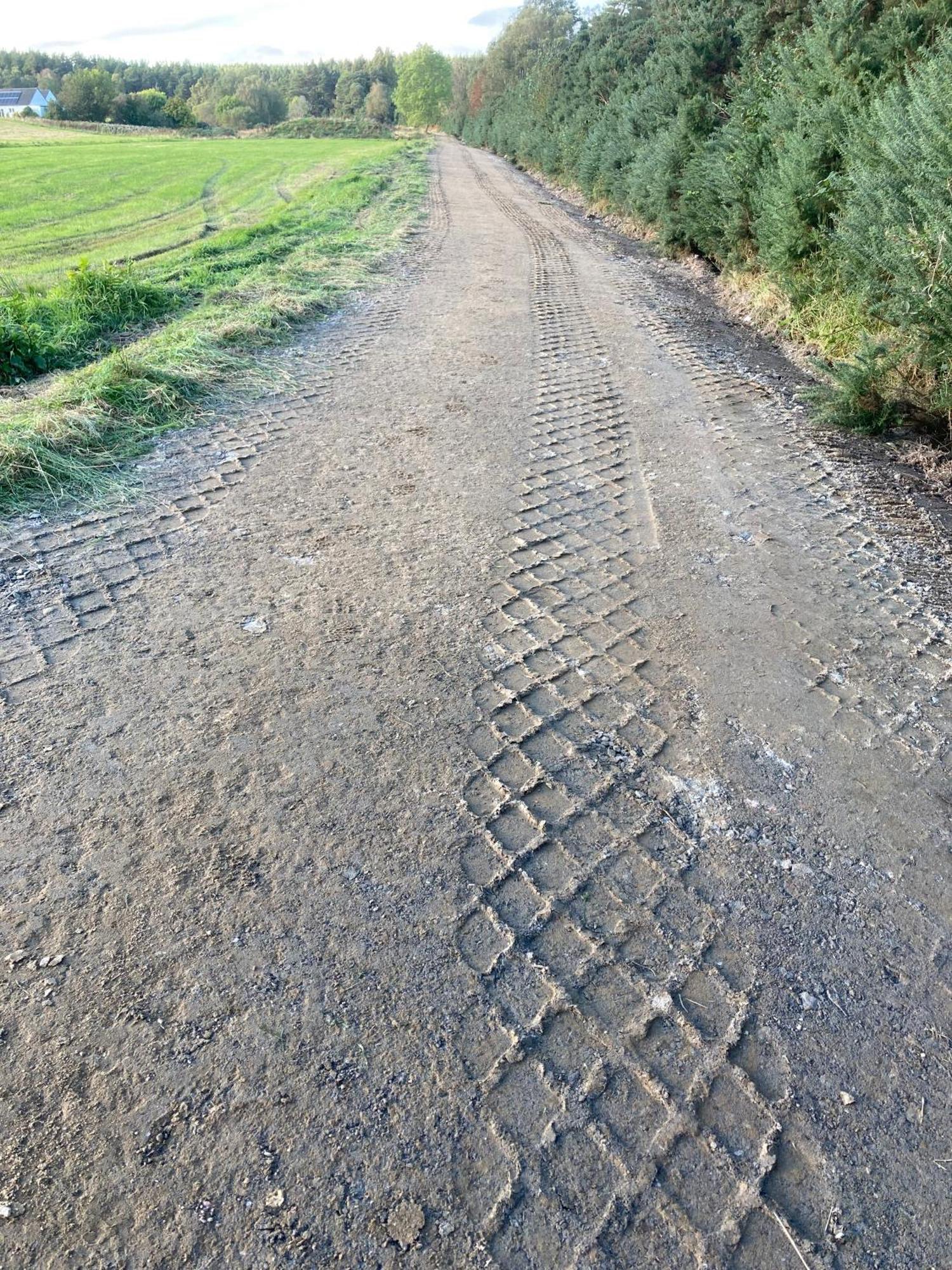 Clashmore Wood Dornoch Luaran gambar